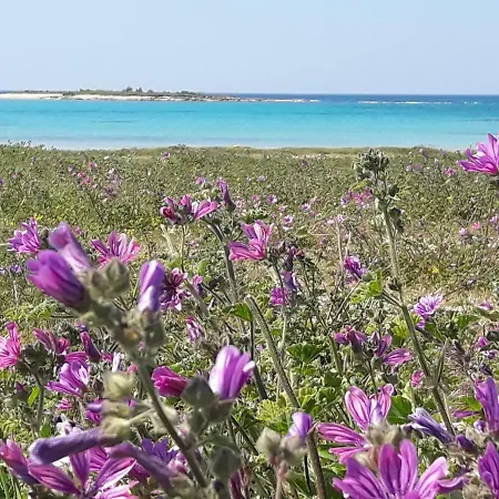Stella Marina * Sant Isidoro (Apulia)