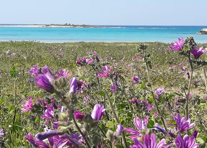 Stella Marina * Sant Isidoro (Apulia)
